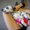 Images de profil de Cassandra - Blooming Pets - Petsitting et garde d'animaux à domicile