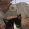 Image de profil de Khadidja - Blooming Pets - Petsitting et garde d'animaux à domicile