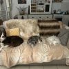 Images de profil de Killian - Blooming Pets - Petsitting et garde d'animaux à domicile