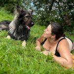 Aslan Mon Chien  Berger Allemand Mâle - Garde d'animaux à domicile