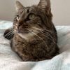 Images de profil de Soline - Blooming Pets - Petsitting et garde d'animaux à domicile