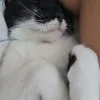 Images de profil de Koline - Blooming Pets - Petsitting et garde d'animaux à domicile