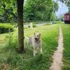 Images de profil de Koline - Blooming Pets - Petsitting et garde d'animaux à domicile