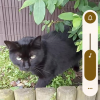 Images de profil de Maxime - Blooming Pets - Petsitting et garde d'animaux à domicile