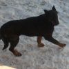 Images de profil de Laura - Blooming Pets - Petsitting et garde d'animaux à domicile