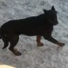 Images de profil de Laura - Blooming Pets - Petsitting et garde d'animaux à domicile