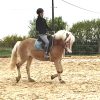 Images de profil de Dessislava - Blooming Pets - Petsitting et garde d'animaux à domicile