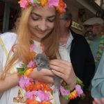 Image de profil de Pothee - Blooming Pets - Petsitting et garde d'animaux à domicile