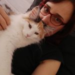 Quinzel Mon Chat  Maine Coon Femelle stérilisée - Garde d'animaux à domicile