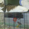 Images de profil de audrey - Blooming Pets - Petsitting et garde d'animaux à domicile