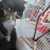 Images de profil de audrey - Blooming Pets - Petsitting et garde d'animaux à domicile
