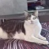 Images de profil de Laetitia - Blooming Pets - Petsitting et garde d'animaux Ă domicile