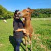 Images de profil de Lalie - Blooming Pets - Petsitting et garde d'animaux à domicile