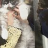 Images de profil de Lamia - Blooming Pets - Petsitting et garde d'animaux à domicile