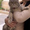 Images de profil de Lamia - Blooming Pets - Petsitting et garde d'animaux à domicile