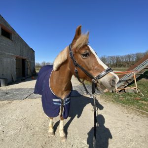 Images de profil de Lana - Blooming Pets - Petsitting et garde d'animaux à domicile