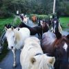 Images de profil de Lara - Blooming Pets - Petsitting et garde d'animaux à domicile