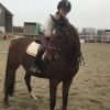Images de profil de Lauryn - Blooming Pets - Petsitting et garde d'animaux à domicile
