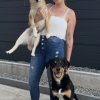 Images de profil de Lauryn - Blooming Pets - Petsitting et garde d'animaux à domicile