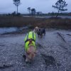 Images de profil de Laura - Blooming Pets - Petsitting et garde d'animaux à domicile