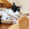 Images de profil de laura - Blooming Pets - Petsitting et garde d'animaux à domicile