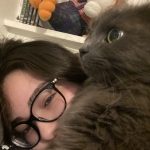 Haru Mon Chat  Nebelung Mâle - Garde d'animaux à domicile
