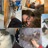 Images de profil de Laura - Blooming Pets - Petsitting et garde d'animaux à domicile