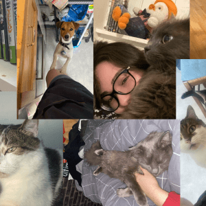 Images de profil de Laura - Blooming Pets - Petsitting et garde d'animaux Ă domicile