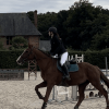 Images de profil de Laurann - Blooming Pets - Petsitting et garde d'animaux à domicile
