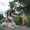Images de profil de Laurence - Blooming Pets - Petsitting et garde d'animaux à domicile