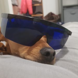 Images de profil de LAURE - Blooming Pets - Petsitting et garde d'animaux à domicile