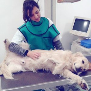 Images de profil de Lauriane - Blooming Pets - Petsitting et garde d'animaux Ă domicile