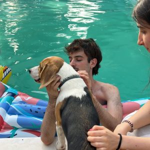 Images de profil de Mattia - Blooming Pets - Petsitting et garde d'animaux à domicile