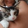 Images de profil de Valentine - Blooming Pets - Petsitting et garde d'animaux à domicile