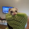 Images de profil de Lea - Blooming Pets - Petsitting et garde d'animaux à domicile