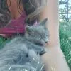 Images de profil de Léa - Blooming Pets - Petsitting et garde d'animaux à domicile