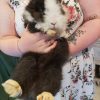 Images de profil de Léa - Blooming Pets - Petsitting et garde d'animaux à domicile