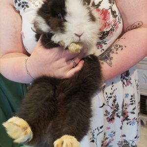 Images de profil de Léa - Blooming Pets - Petsitting et garde d'animaux à domicile