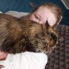 Images de profil de Léa - Blooming Pets - Petsitting et garde d'animaux à domicile
