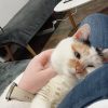 Images de profil de Léa - Blooming Pets - Petsitting et garde d'animaux à domicile
