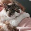 Images de profil de Léa - Blooming Pets - Petsitting et garde d'animaux à domicile