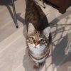 Images de profil de Léa - Blooming Pets - Petsitting et garde d'animaux à domicile