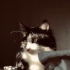 Images de profil de Lea - Blooming Pets - Petsitting et garde d'animaux à domicile