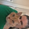 Images de profil de Lea - Blooming Pets - Petsitting et garde d'animaux à domicile