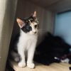 Images de profil de Leiane - Blooming Pets - Petsitting et garde d'animaux à domicile