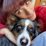 June Mon Chien  Berger Australien Femelle stérilisée - Garde d'animaux à domicile