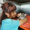 Images de profil de Leopoldine - Blooming Pets - Petsitting et garde d'animaux à domicile