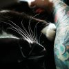 Images de profil de Lidye - Blooming Pets - Petsitting et garde d'animaux à domicile