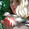 Images de profil de Lili-Rose - Blooming Pets - Petsitting et garde d'animaux à domicile