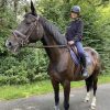 Images de profil de Lily - Blooming Pets - Petsitting et garde d'animaux à domicile